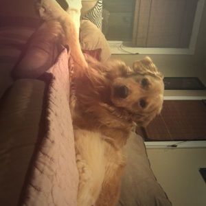 Meet your Posher, Gianna